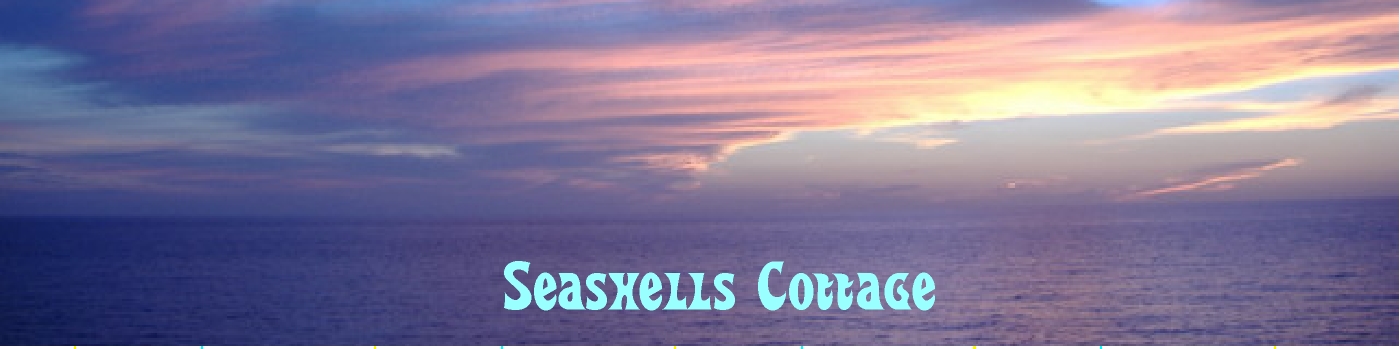 Seashells Cottage in Cedar Key